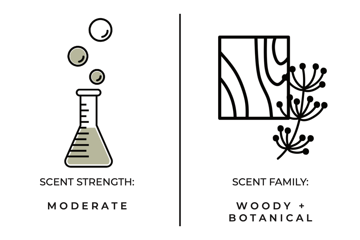 Santal Hand Wash